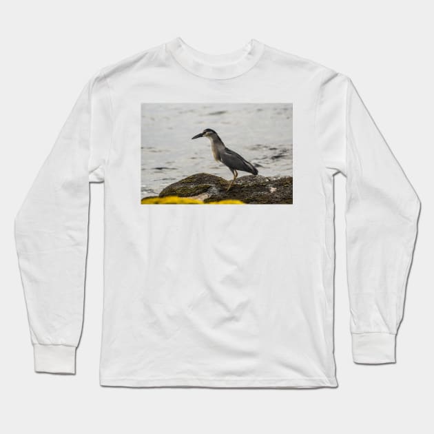 Black-crowned night heron of hawaii 2 Long Sleeve T-Shirt by KensLensDesigns